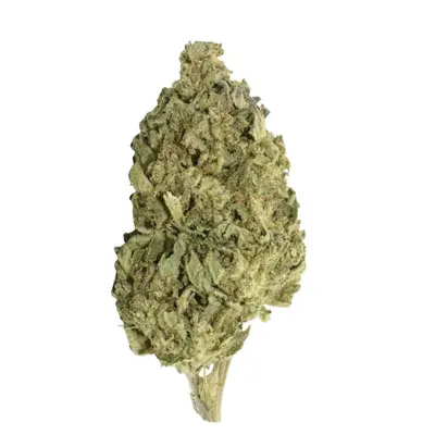 Remexian 30/1 MTL PAR